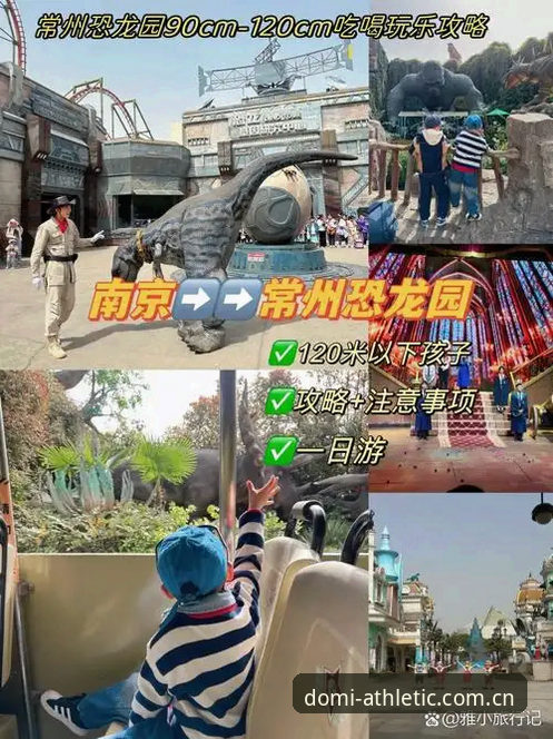 多米体育娱乐平台使用指南:从注册到畅玩的完整攻略